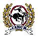 Cinch Jeans