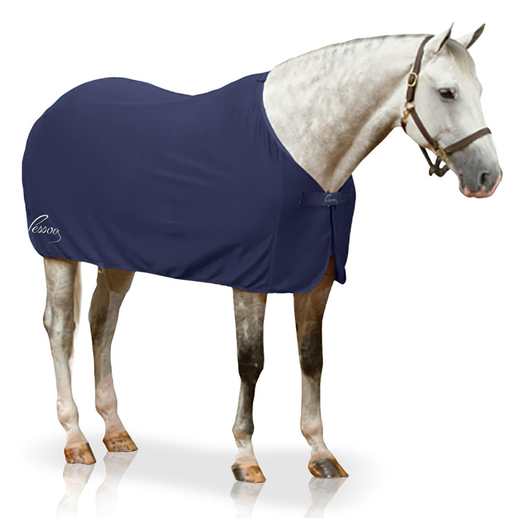 Coolers - Horse