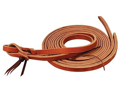 Reins