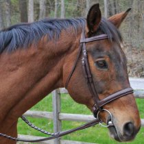 Red Barn Fusion Horse Bridle KL Select