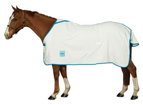 Weatherbeeta Kool Coat Lite White/Ocean Blue 72