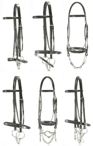 Red Barn Levade Dressage Bridle