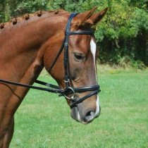 Red Barn Levade Dressage Bridle