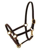 Tory Leather Cob 3/4 Halter
