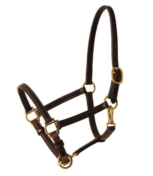 Tory Leather Cob 3/4 Halter