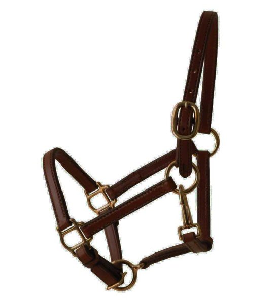 Tory Leather Weanling/Pony Halter