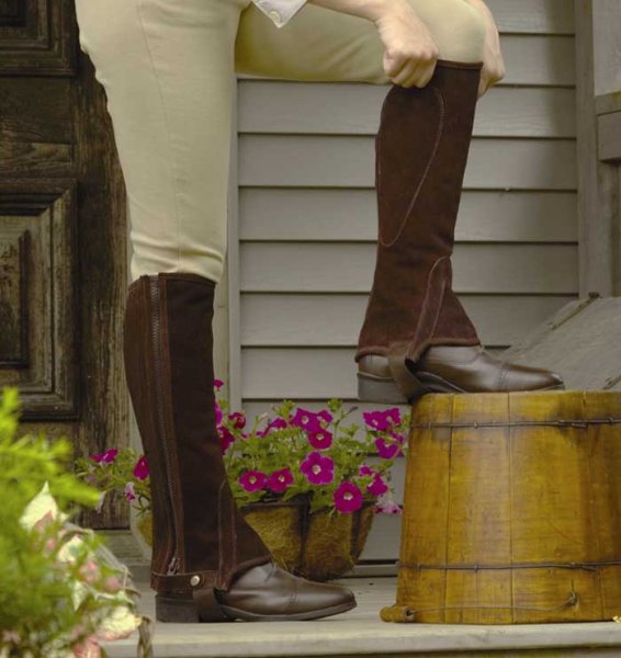 Perri's Leather Half Chaps with Zipper