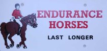Plastic License Plate - Endurance Horses