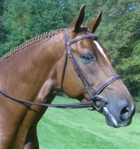 KL Select Red Barn Spirit Noseband