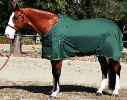 Roustabout Standard Weight European Cut Turnout Blanket