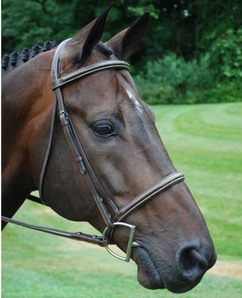 KL Select Italia Venezia Fancy Cavesson Hunter Bridle