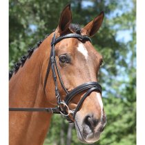 KL Select Italia Pirouette Dressage Bridle