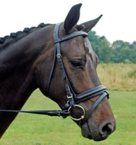 KL Select Italia Pirouette Dressage Bridle