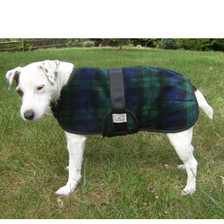 Foggy Mountain Snuggler Dog Coat
