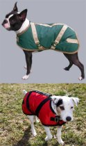 Foggy Mountain Nylon Turnout Dog Coat