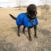 Foggy Mountain Nylon Turnout Dog Coat
