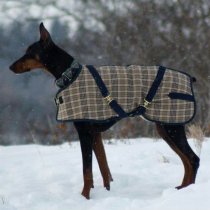 Foggy Mountain Baker Plaid Nylon Turnout Dog Coat