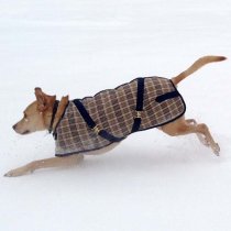 Foggy Mountain Baker Plaid Nylon Turnout Dog Coat