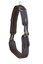 Tory Neoprene Surcingle