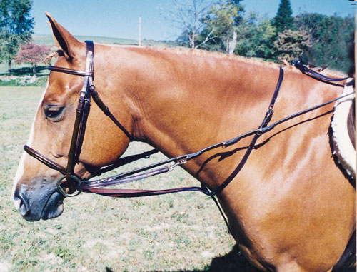 Tory Leather German Martingale
