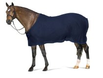 Centaur Show Scrim Black