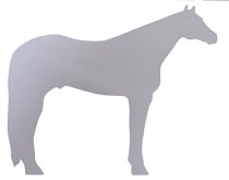 Quarter Horse Decal