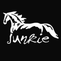 Horses Unlimited Horse Junkie Decal