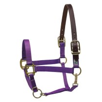 Perri's Purple Nylon Safety Halter