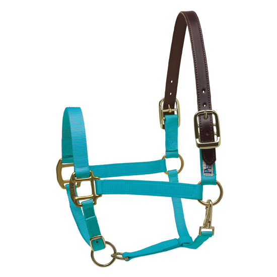 Perri's Turquoise Nylon Safety Halter