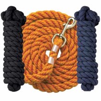 Perri's Lead with Chain