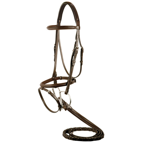 M. Toulouse Platinum Hampshire Bridle with Flash