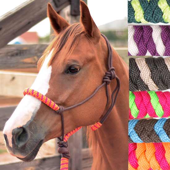 Classic Equine Two-tone Nylon Rope Halter