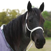 Mule Tape Braided Rope Halter