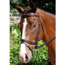 Nunn Finer Gifted Padded Bridle