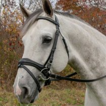 Red Barn Piaffe Dressage Bridle with Crystal Browband