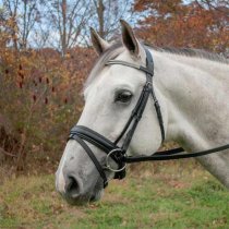 Red Barn Passage Dressage Bridle with Crystal Browband