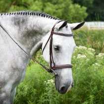 KL Select Italia Middleburg Padded Bridle