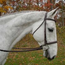 KL Select Black Oak Aster Hunter Bridle