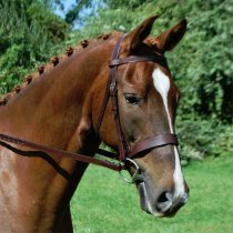 KL Select Foxwell Fox Hunter Bridle