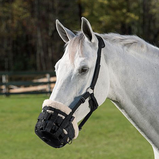 Shires Equestrian Deluxe Grazing Muzzle Pony