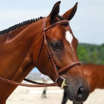 Beval's Conquer Monocrown Fancy Stitch Padded Bridle