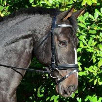 Black Oak KL Select Larkspur Dressage Bridle