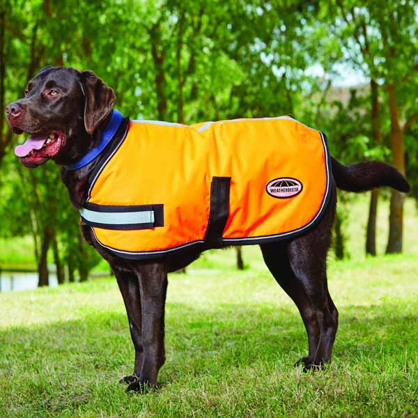 WeatherBeeta Orange Reflective Dog Parka 32