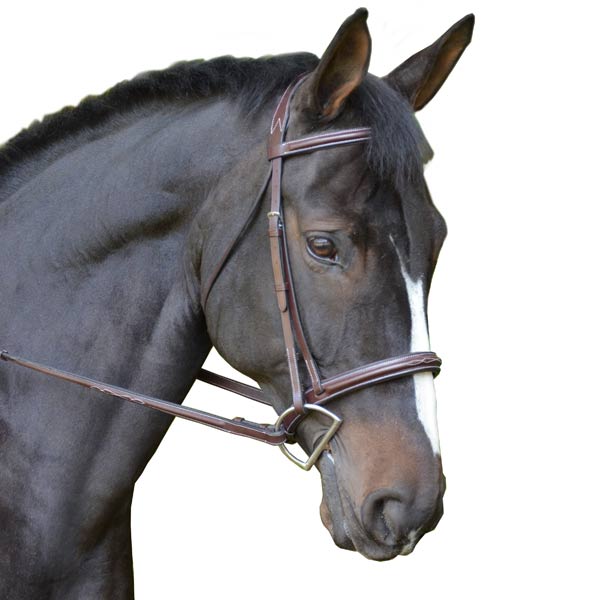 KL Select Black Oak Cyprus Hunter Bridle