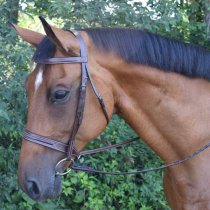 KL Select Red Barn Sonoma Bridle