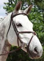 KL Select Red Barn Equinox Figure 8 Bridle