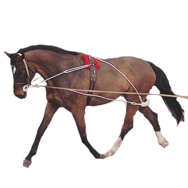 Pessoa Lunging System