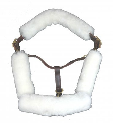 Fleeceworks Halter Four Piece Set