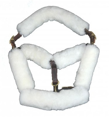 Fleeceworks Halter Six Piece Set