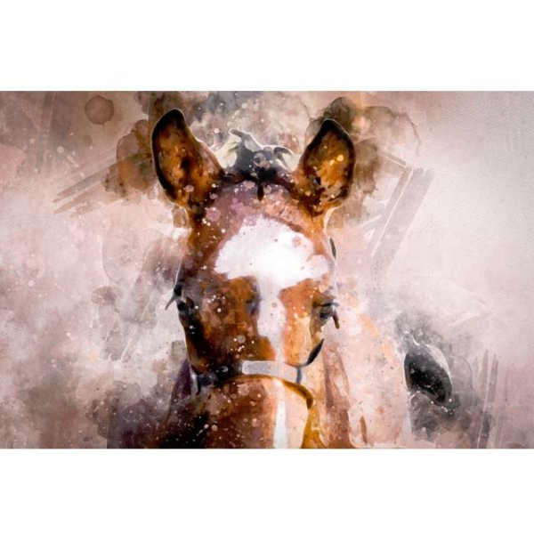 New Life Canvas Print